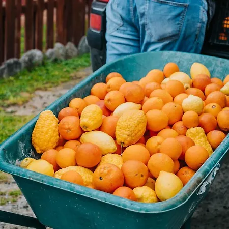 La Sena Фермерский дом Santa Caterina Dello Ionio Marina