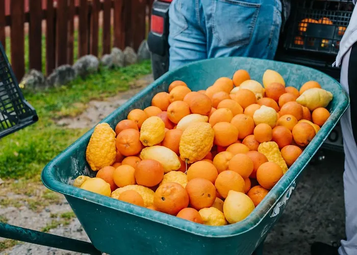 La Sena בית חווה Santa Caterina Dello Ionio Marina